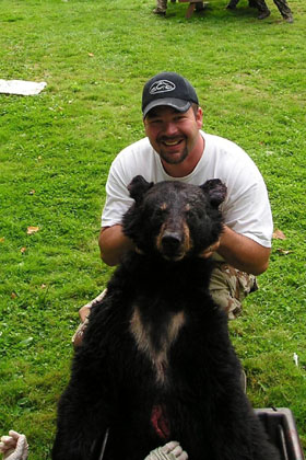 bearmarkings