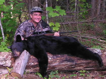 guidedbearhunt