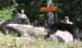 Maine Black Bear Hunt 2008 (43)