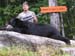 Maine Black Bear Hunt 2008 (5)