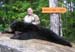 Maine Black Bear Hunt 2008 (52)