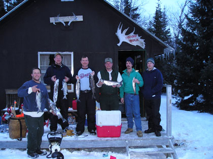 frozenfish