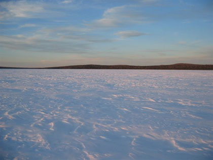 frozenlake