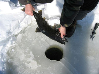 guidedicefishing