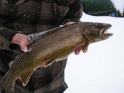 ice-fishmaine