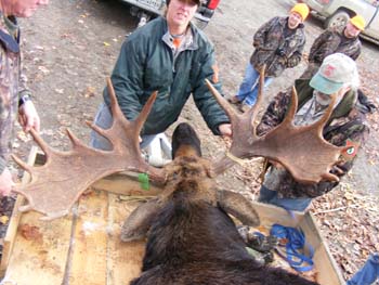 moose_season