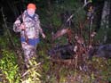 Trophy Maine Moose #192793D