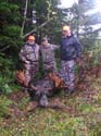 Trophy Maine Moose #1927940