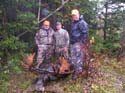 Trophy Maine Moose #1927943
