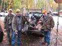 Trophy Maine Moose #1927949