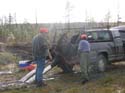 Trophy Maine Moose #1927958