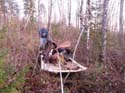 Trophy Maine Moose #1927982