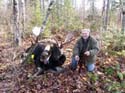 Trophy Maine Moose #192798B