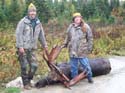 Trophy Maine Moose #192799D