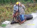 Trophy Maine Moose #19279A0