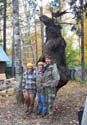 Trophy Maine Moose #19279A3