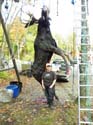 hangingmoose