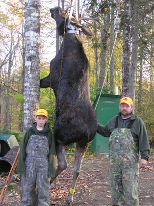 mainemoosehunts