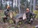 mainemooseguides
