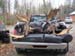 mooseantlers