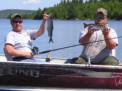 lakefrontcabins