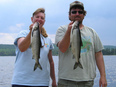 rosslakewhitefish