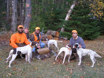 birddogs