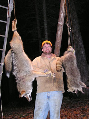 coyoteandcoon2
