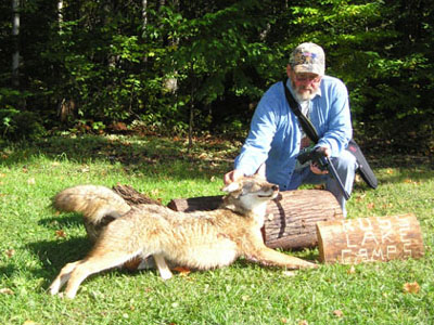 coyotehunting