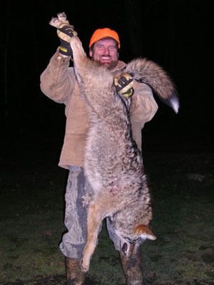 doncoyote