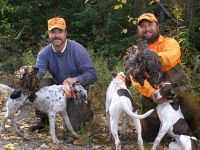 englishpointers
