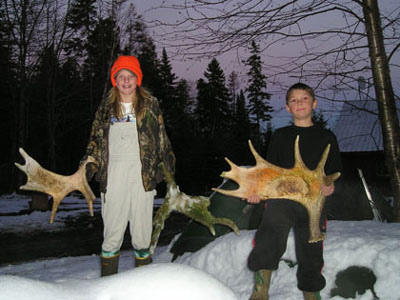 mooseshedantlers