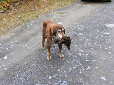 old_Jake