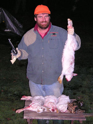 rabbit