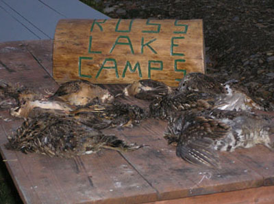sportingcamp