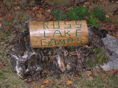 woodcockhunting