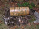 woodcockhunting