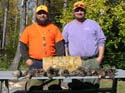 grouse