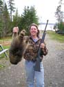 racoon