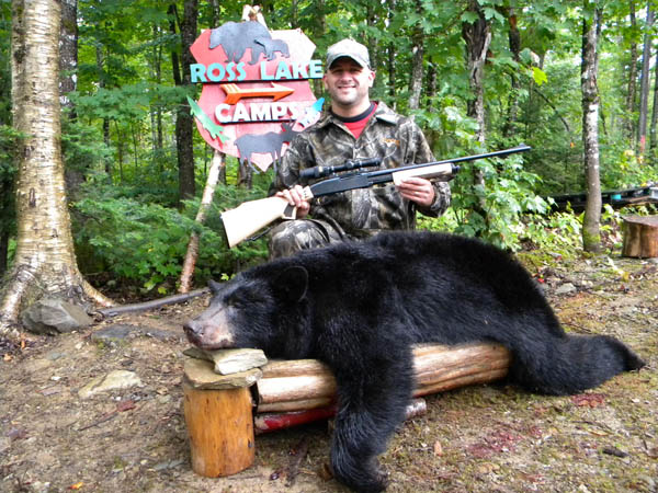 Bear