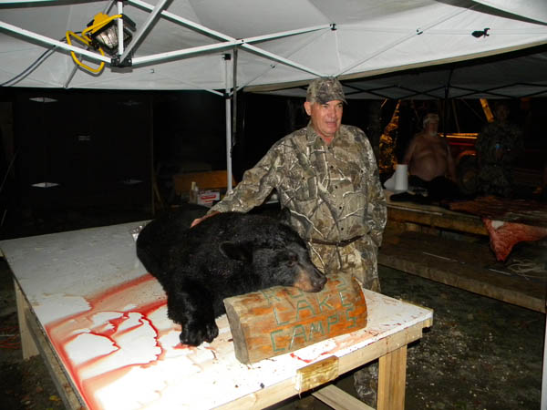 Bear