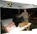Pano_Bear Hunting Ca#1E900D