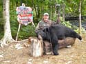 Trophy Bear