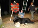 Trophy Black Bear