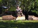 fallbearseason