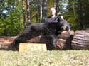 mainebearhunt_12