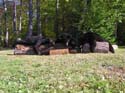 mainebearhunt_8