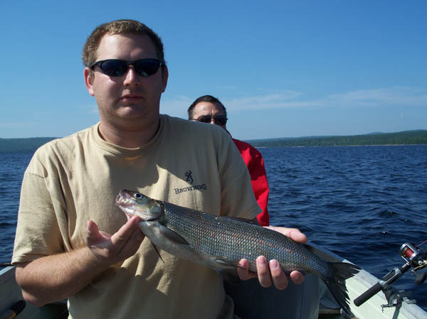 Maine