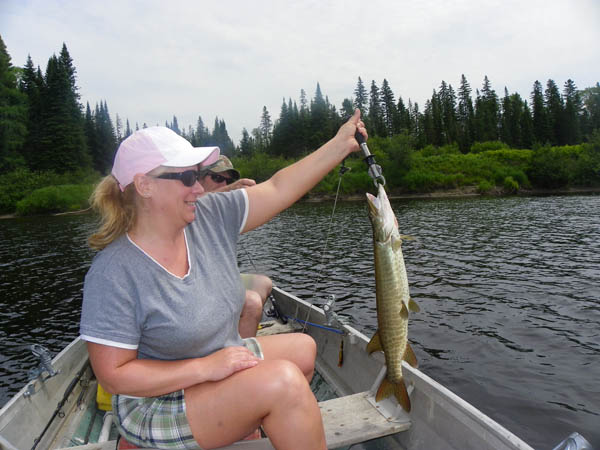 Muskellunge