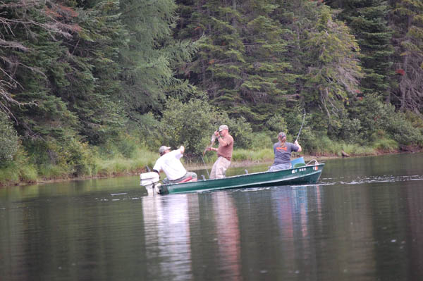 Muskellunge
